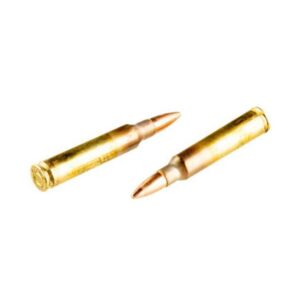 Lake City by Winchester 5.56 NATO M193 Ammunition 20 Rounds FMJ 55 Grains W193