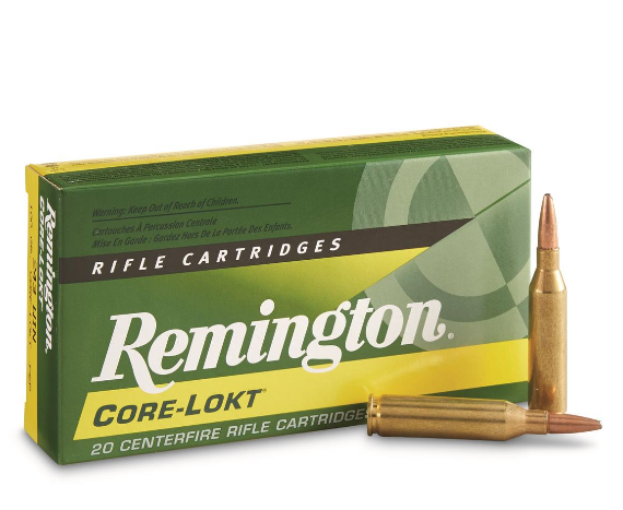 Remington, .243 Winchester, PSP Core-Lokt, 100 Grain, 20 Rounds